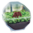 Charger l'image dans la galerie, Mini Terrarium Ours

