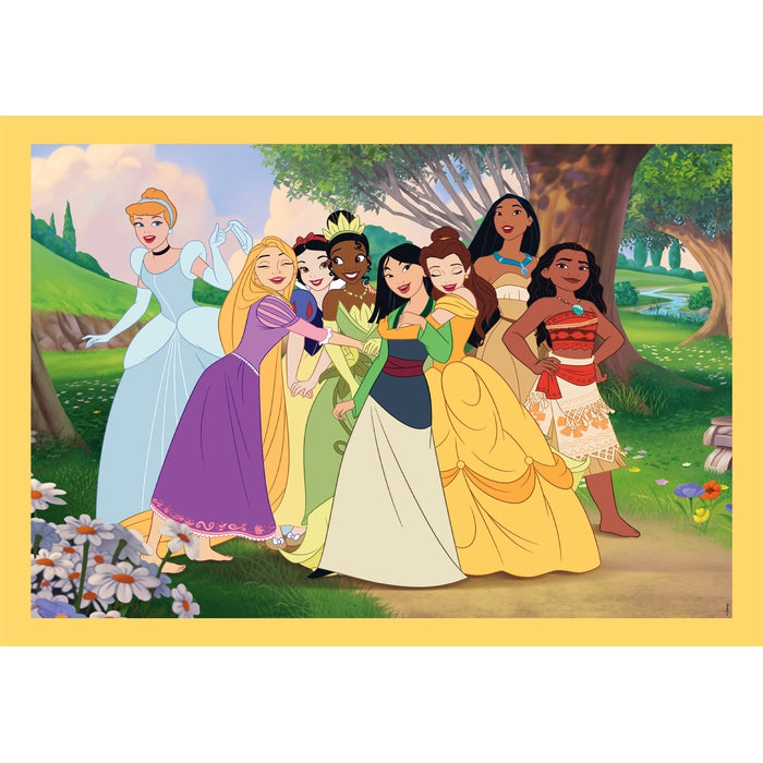 Disney Princess - 1x12 + 1x16 + 1x20 + 1x24 pièces