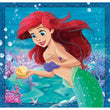 Charger l'image dans la galerie, Disney Princess - 3x48 pièces
