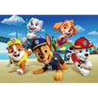 Charger l'image dans la galerie, Paw Patrol - 60 pièces
