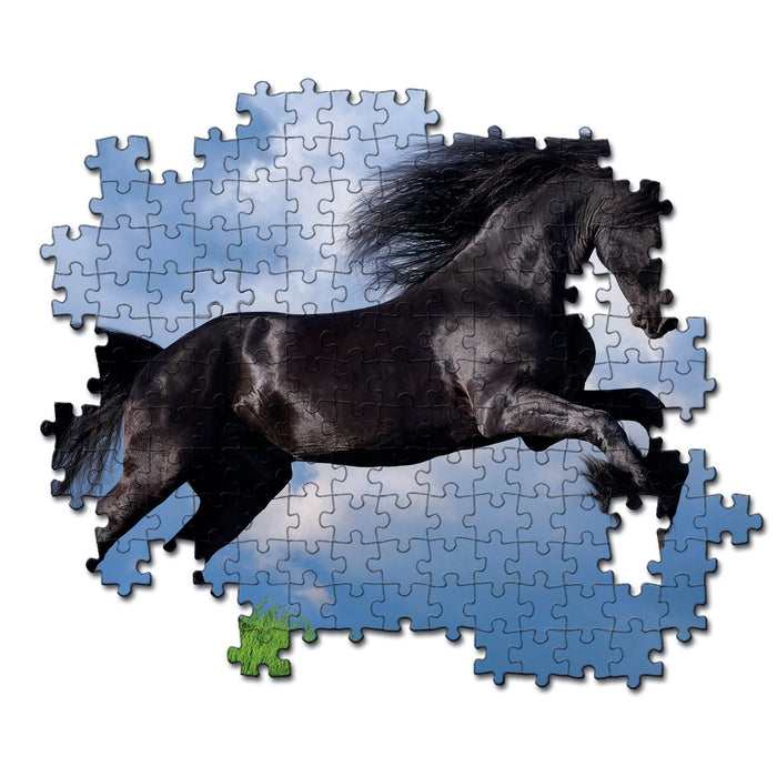 Fresian Black Horse - 500 pièces