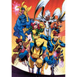 Charger l'image dans la galerie, Marvel Xmen - 1000 pièces
