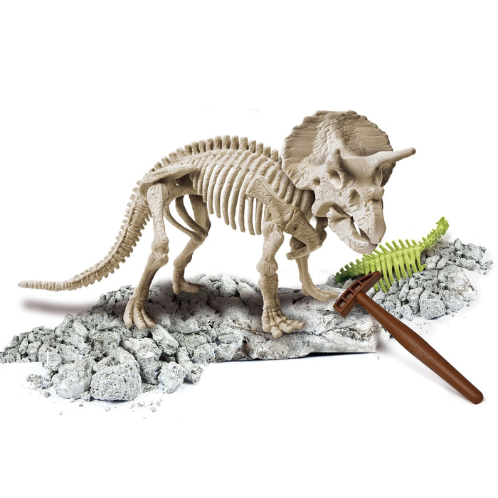 CLEMENTONI Archeo Ludic Velociraptor Fluorescence francais Spielzeug grün CLEMENTONI Archeo Ludic Velociraptor Fluorescence francais Spielzeug grün