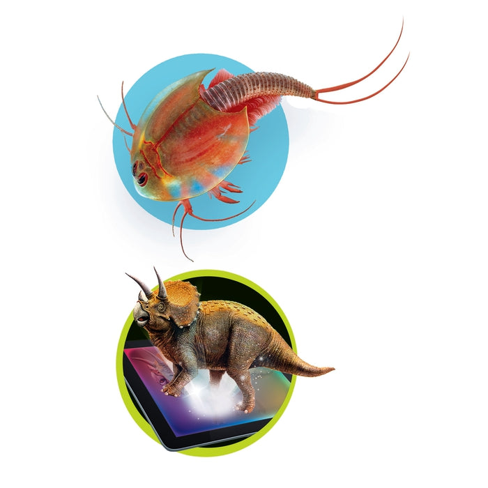 Triops et le monde des dinosaures