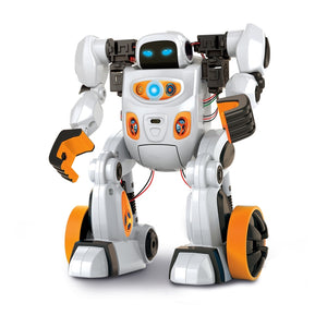 AIRO, artificial intelligence robot