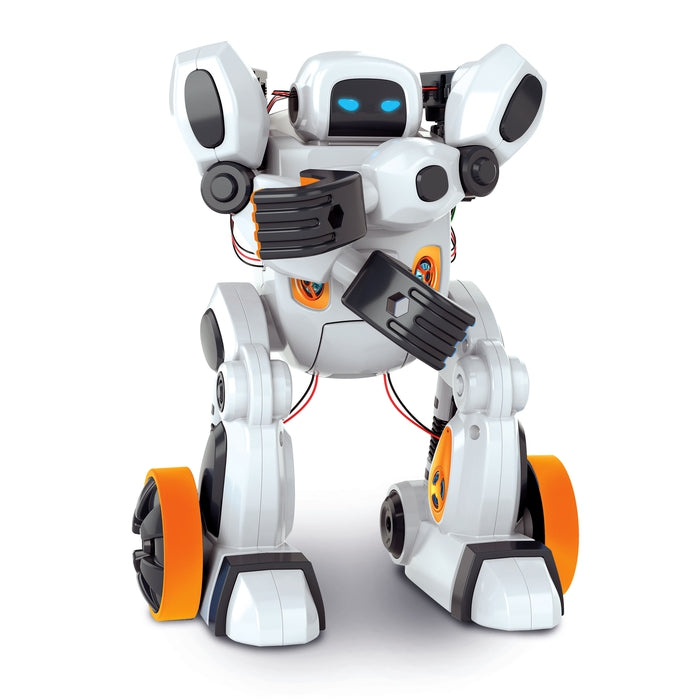 AIRO, artificial intelligence robot