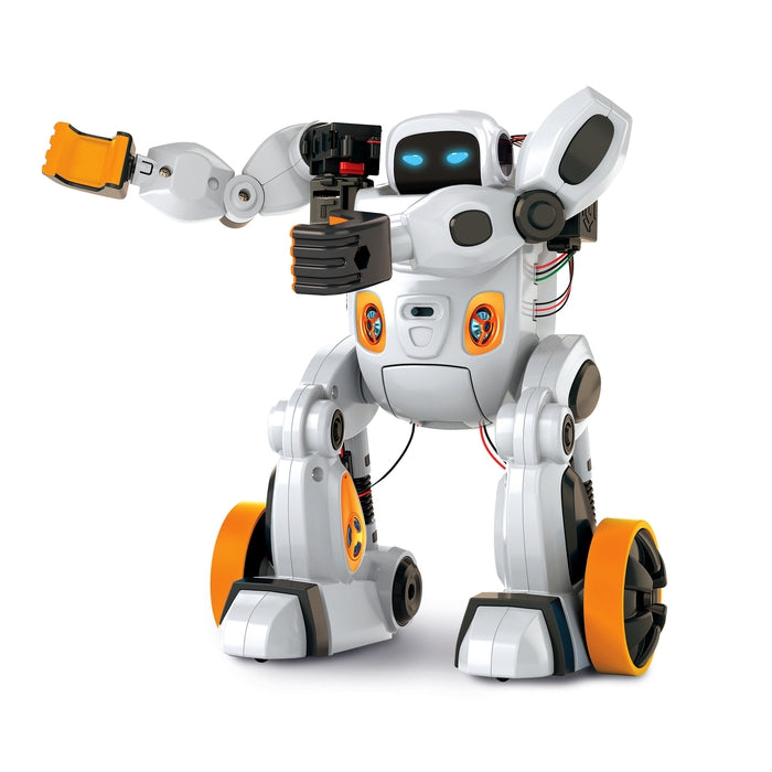 AIRO, artificial intelligence robot