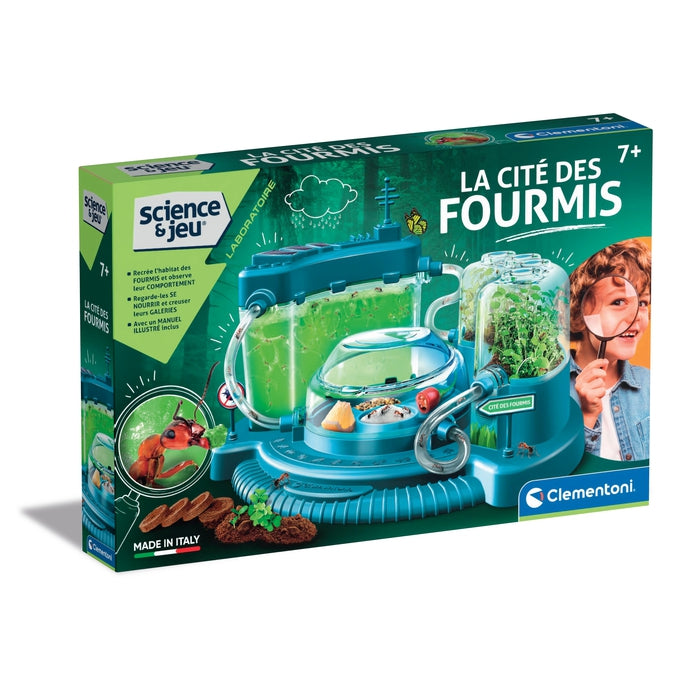 La cité des fourmis