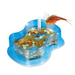 Charger l'image dans la galerie, Mes premiers triops
