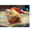 Charger l'image dans la galerie, Mes premiers triops
