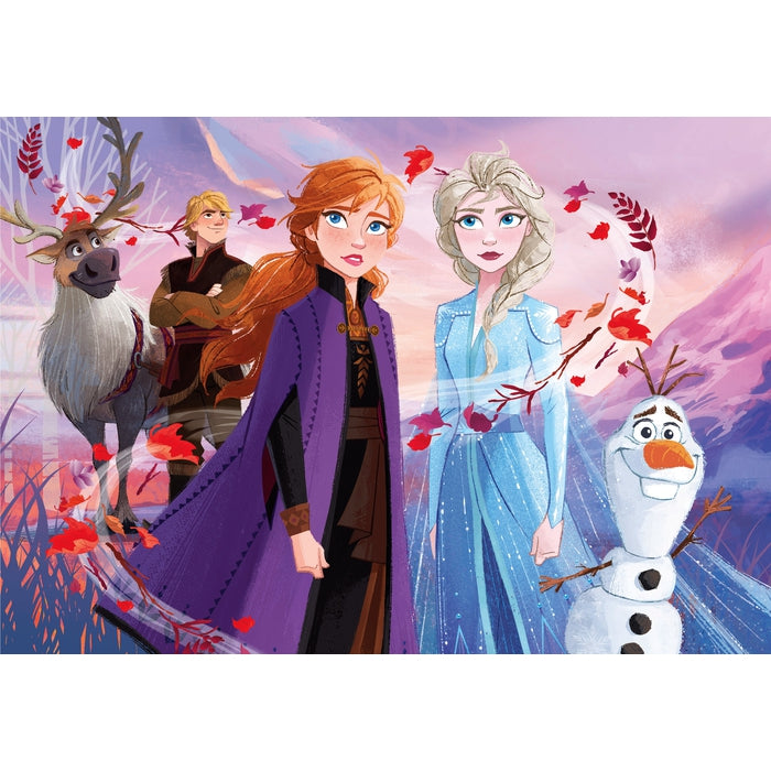Disney Frozen 2 - 15 pièces