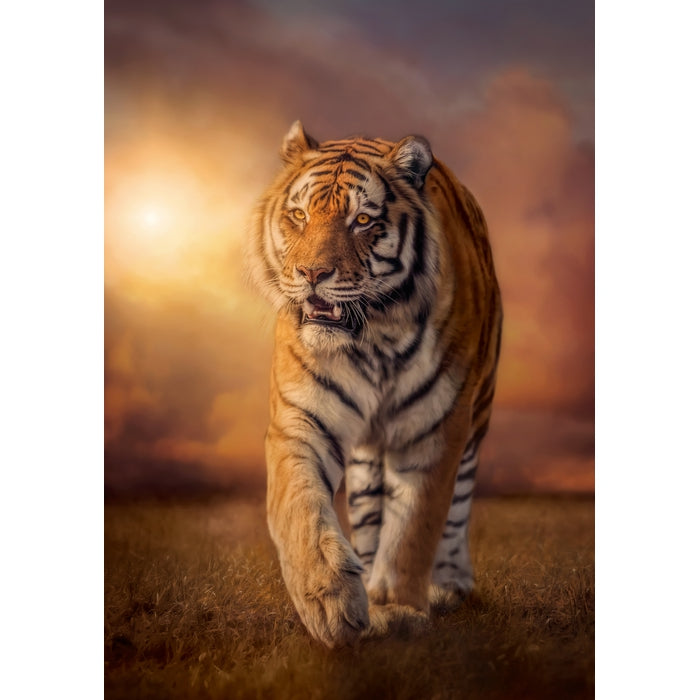 Tiger - 1500 pièces