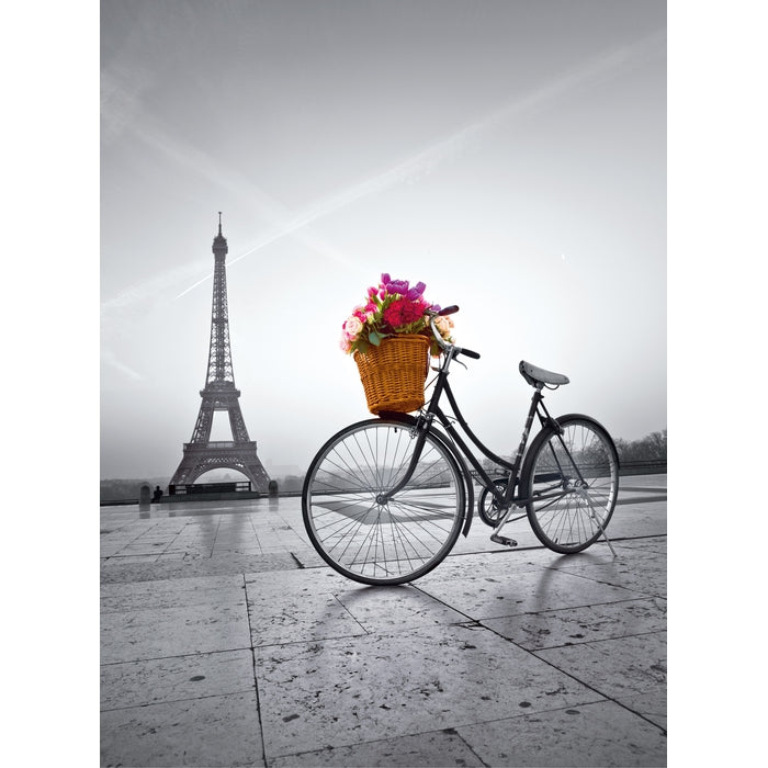 Romantic promenade in Paris - 500 pièces