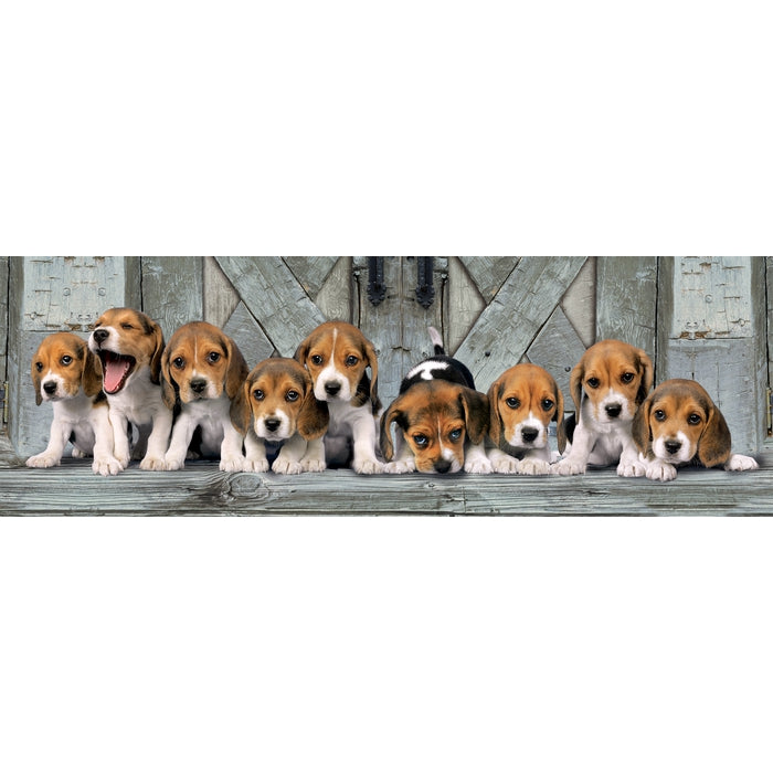 Beagles - 1000 pièces