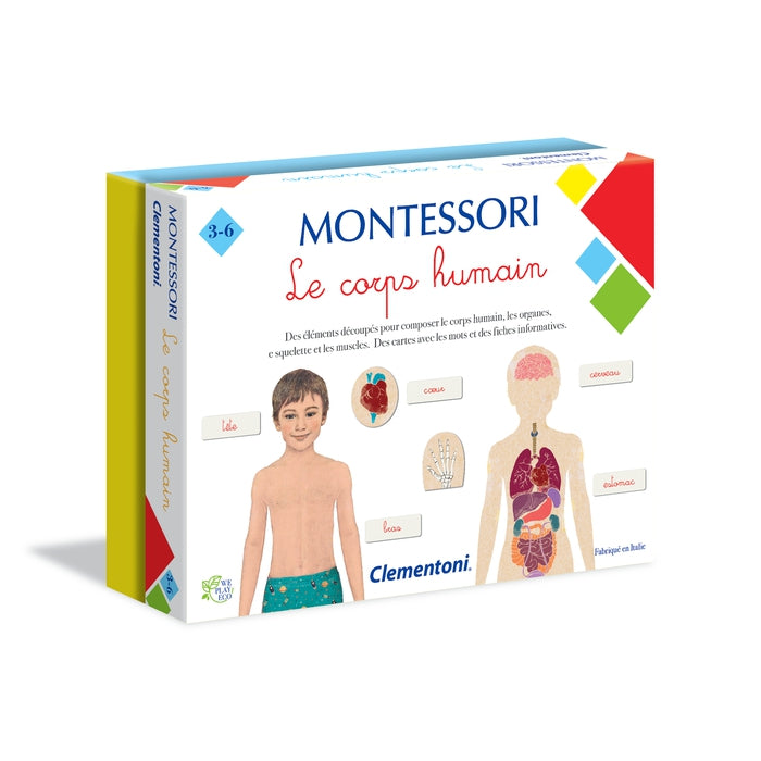 Le corps humain - Montessori