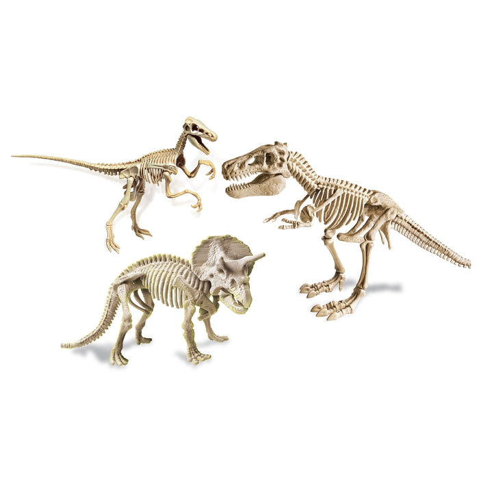 Jeu Archéologie Dinosaure Squelette Fluorescent